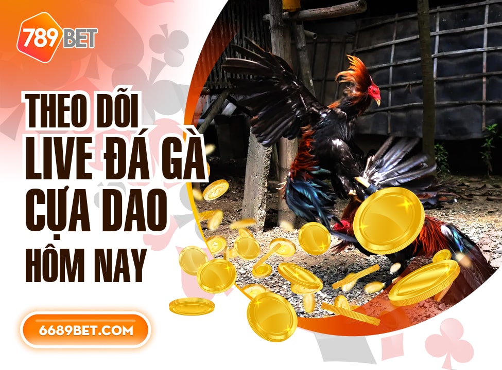 Theo dõi live đá gà cựa dao hôm nay