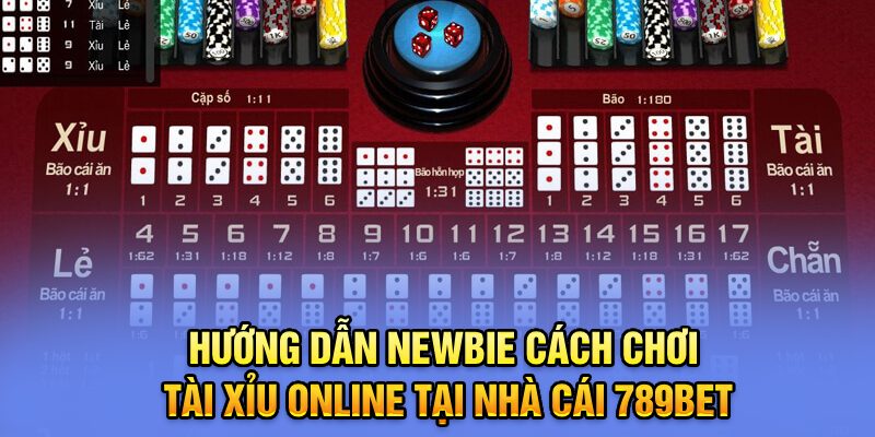 Hướng dẫn newbie cách chơi tài xỉu online tại nhà cái 789BET