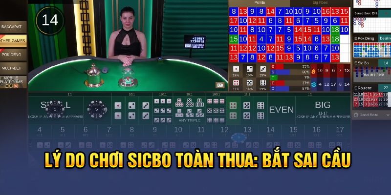 Lý do chơi sicbo toàn thua: bắt sai cầu