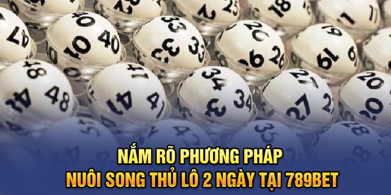 Nắm rõ phương pháp nuôi song thủ lô 2 ngày tại 789bet