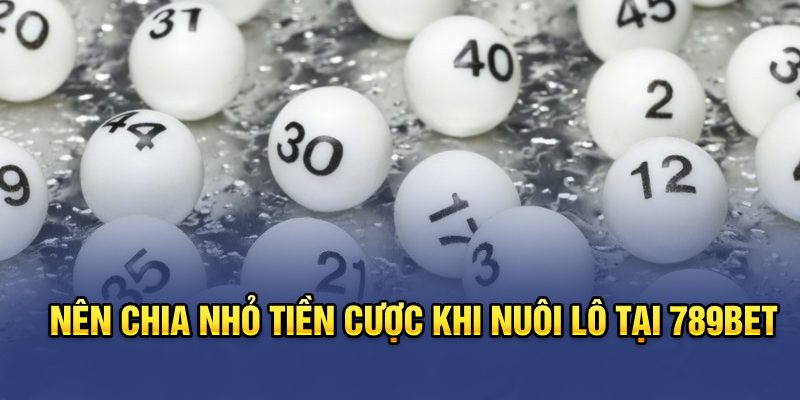 Nên chia nhỏ tiền cược khi nuôi lô tại 789bet